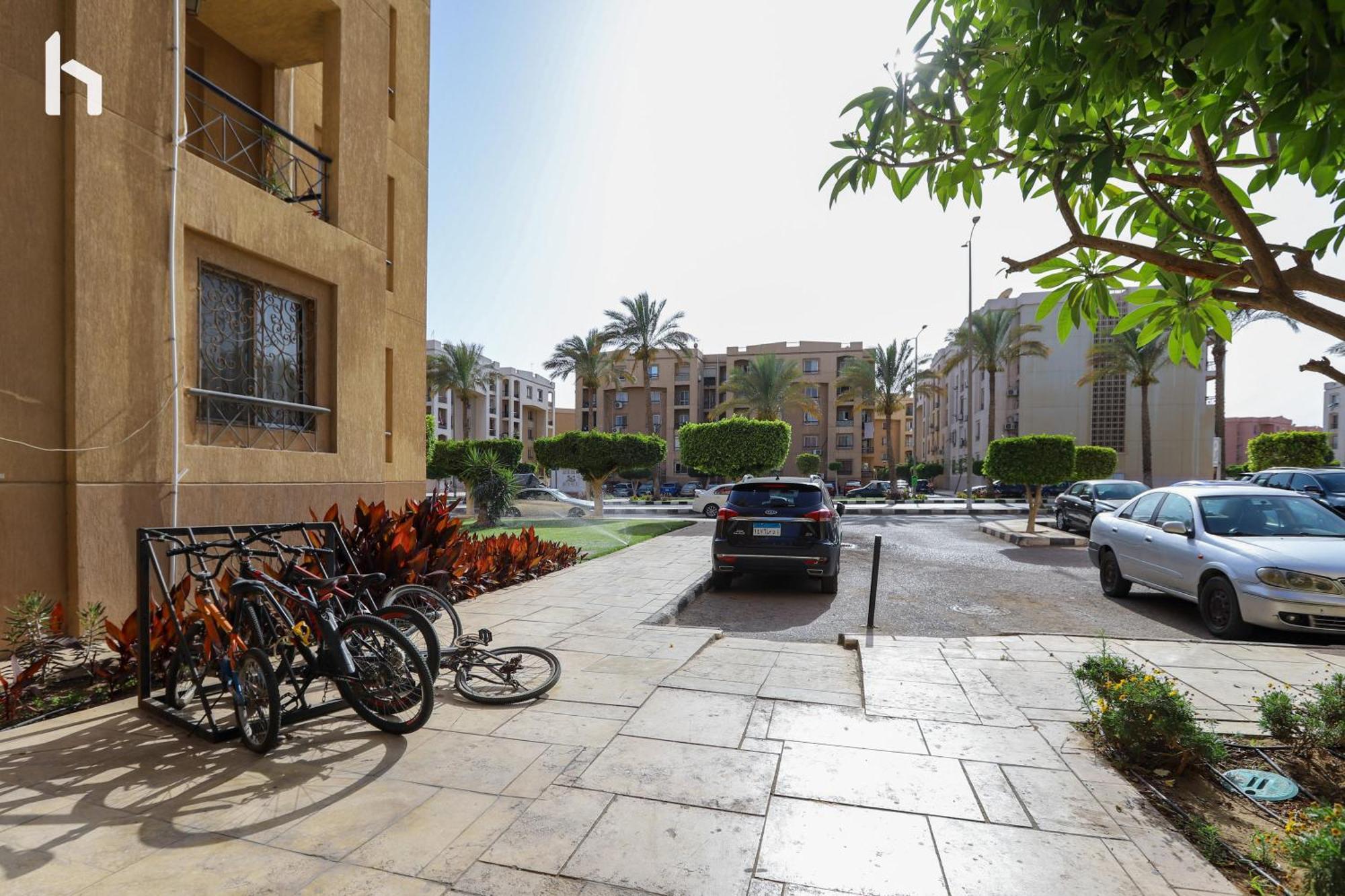 -host Prime In Rehab * Cairo